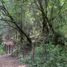  Land for sale in Jilotzingo, Mexico, Jilotzingo