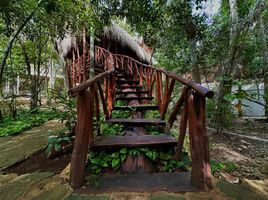 3 Bedroom House for rent in Cozumel, Quintana Roo, Cozumel