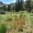  Land for sale in Cuenca, Azuay, Nulti, Cuenca