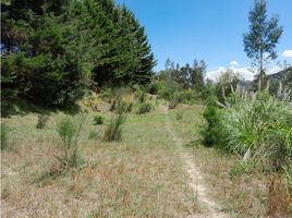  Land for sale in Nulti, Cuenca, Nulti