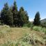  Land for sale in Cuenca, Azuay, Nulti, Cuenca