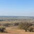  Land for sale in Chacabuco, Santiago, Colina, Chacabuco