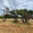  Terreno (Parcela) en venta en Cardenal Caro, Libertador General Bernardo O'Higgins, Litueche, Cardenal Caro