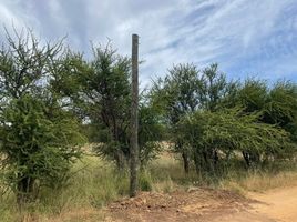  Terreno (Parcela) en venta en Cardenal Caro, Libertador General Bernardo O'Higgins, Litueche, Cardenal Caro