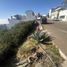 Terrain à vendre à Tijuana, Baja California, Tijuana