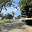  Land for sale in Manzanillo, Colima, Manzanillo