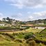 Terrain à vendre à El Carmen De Viboral, Antioquia, El Carmen De Viboral
