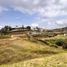 Terrain à vendre à El Carmen De Viboral, Antioquia, El Carmen De Viboral