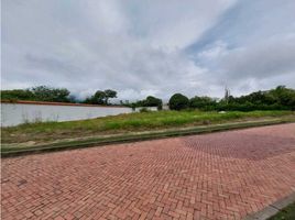  Terreno (Parcela) en venta en Fusagasuga, Cundinamarca, Fusagasuga