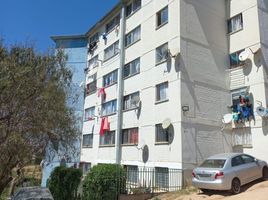 1 Habitación Departamento en venta en Valparaíso, Valparaíso, Valparaiso, Valparaíso