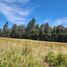  Terreno (Parcela) en venta en Maule, Maule, Talca, Maule
