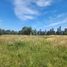  Terreno (Parcela) en venta en Maule, Maule, Talca, Maule
