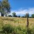  Terreno (Parcela) en venta en Maule, Maule, Talca, Maule