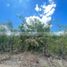  Terreno (Parcela) en venta en Allende, Nuevo León, Allende