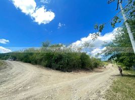  Terreno (Parcela) en venta en Allende, Nuevo León, Allende