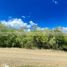  Terreno (Parcela) en venta en Allende, Nuevo León, Allende
