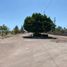  Terreno (Parcela) en venta en Comondu, Baja California Sur, Comondu, Baja California Sur