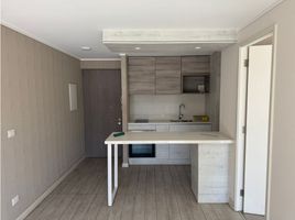 1 Bedroom Apartment for rent in Valparaiso, Vina Del Mar, Valparaiso, Valparaiso