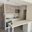 1 Bedroom Apartment for rent in Valparaiso, Vina Del Mar, Valparaiso, Valparaiso