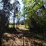  Terreno (Parcela) en venta en Araucanía, Golbea, Cautín, Araucanía