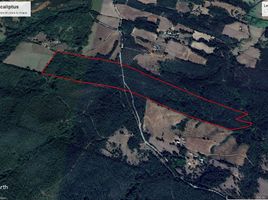  Terreno (Parcela) en venta en Araucanía, Golbea, Cautín, Araucanía