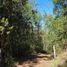  Terreno (Parcela) en venta en Araucanía, Golbea, Cautín, Araucanía