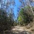  Terreno (Parcela) en venta en Araucanía, Golbea, Cautín, Araucanía