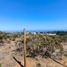  Terreno (Parcela) en venta en Valparaíso, Algarrobo, San Antonio, Valparaíso