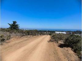  Terreno (Parcela) en venta en Valparaíso, Algarrobo, San Antonio, Valparaíso