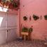 5 Schlafzimmer Haus zu verkaufen in Allende, Guanajuato, Allende
