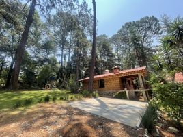 2 Schlafzimmer Wohnung zu vermieten in Valle De Bravo, Mexico, Valle De Bravo