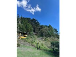  Terreno (Parcela) en venta en La Ceja, Antioquia, La Ceja, Antioquia, Colombia