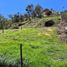  Terreno (Parcela) en venta en La Ceja, Antioquia, La Ceja, Antioquia, Colombia