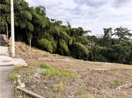  Terreno (Parcela) en venta en Dosquebradas, Risaralda, Dosquebradas