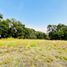  Land for sale in Ixtapan Del Oro, Mexico, Ixtapan Del Oro