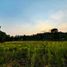  Land for sale in Ixtapan Del Oro, Mexico, Ixtapan Del Oro