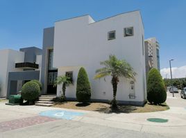 4 Habitación Casa en venta en San Luis Potosi, San Luis Potosí, San Luis Potosi, San Luis Potosí