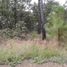  Land for sale in Chiquilistlan, Jalisco, Chiquilistlan