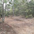  Land for sale in Chiquilistlan, Jalisco, Chiquilistlan