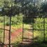  Land for sale in Mazamitla, Jalisco, Mazamitla