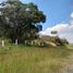  Land for sale in Tonala, Jalisco, Tonala, Jalisco