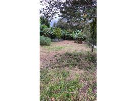  Land for sale in San Carlos, Panama Oeste, San Carlos, San Carlos