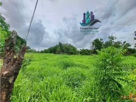 Studio Villa for sale in Jungla de Panama Wildlife Refuge, Palmira, Alto Boquete