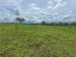  Land for sale in Chiman, Panama, Chiman, Chiman