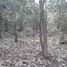  Land for sale in Chiquilistlan, Jalisco, Chiquilistlan