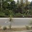  Land for rent in Huauchinango, Puebla, Huauchinango