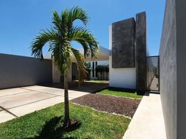 4 Habitación Casa en venta en Yaxkukul, Yucatán, Yaxkukul