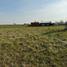  Land for sale in Uruguay Entre Rios, Uruguay