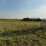  Land for sale in Uruguay Entre Rios, Uruguay