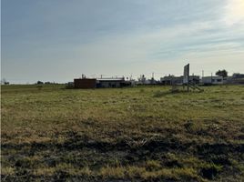  Land for sale in Uruguay Entre Rios, Uruguay